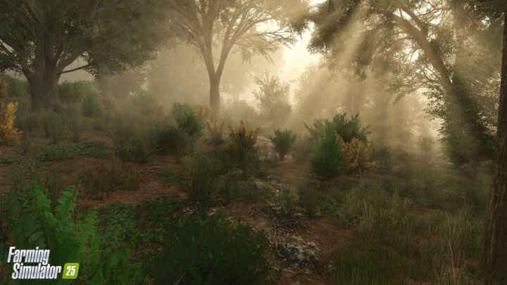 fs25 riverbendsprings forest en