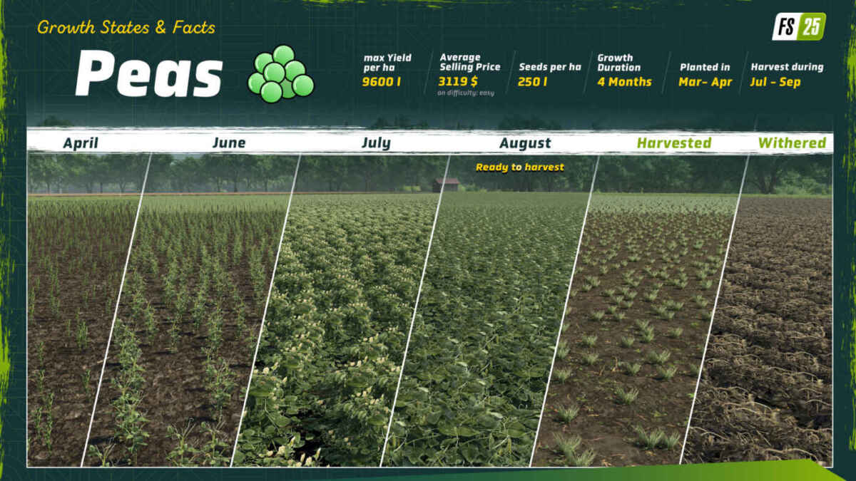 FS25 Peas GrowthStates en