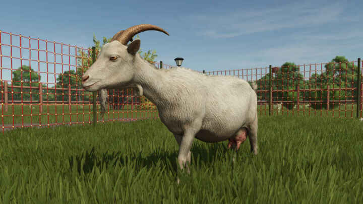 FS25 Goats adult1