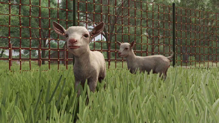 FS25 Goats baby2