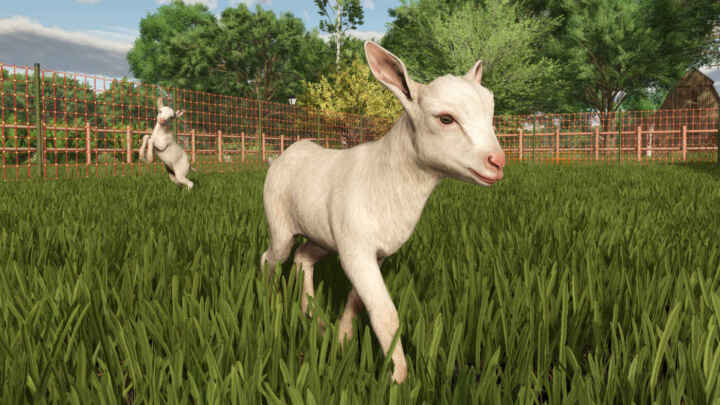 FS25 Goats kid1