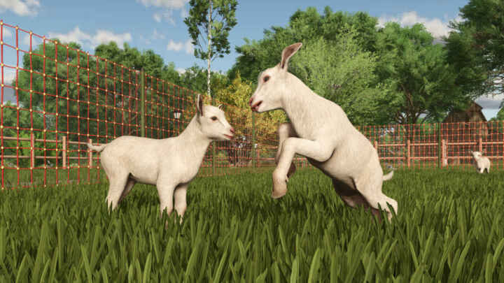 FS25 Goats kid2