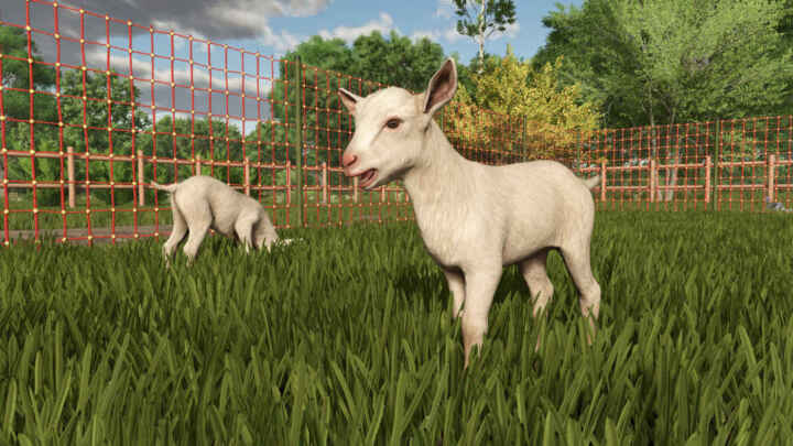 FS25 Goats kid3