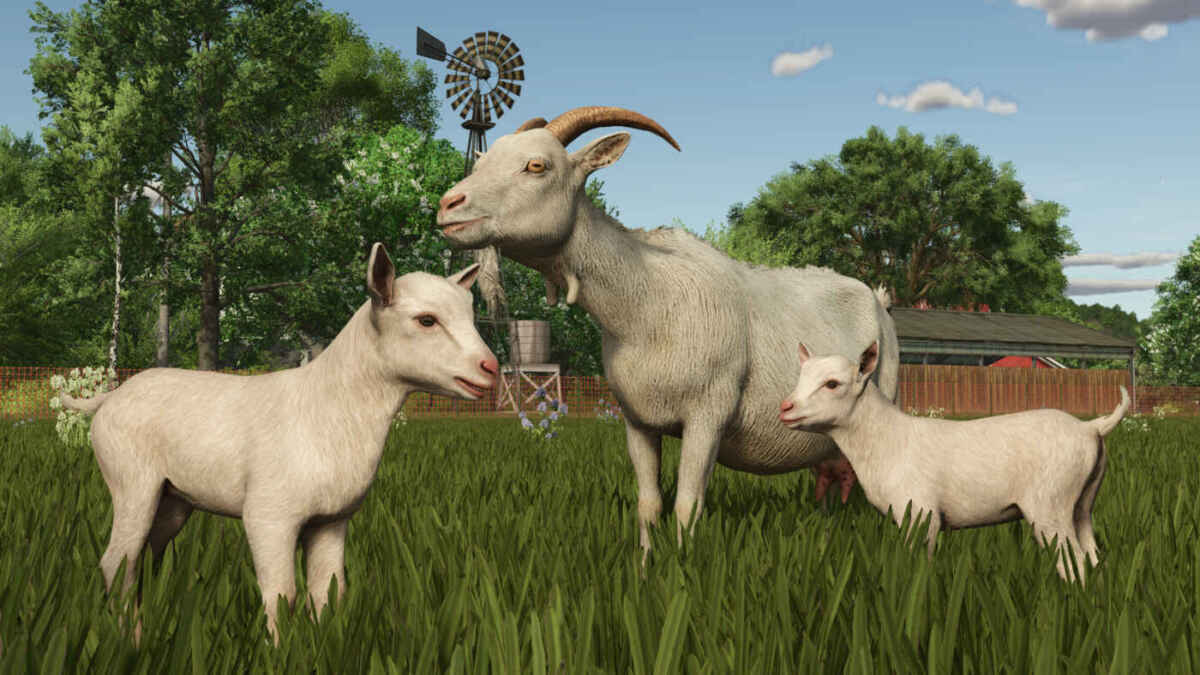 FS25 Goats mix2