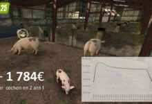 UniversSimu FS25 cochon icone